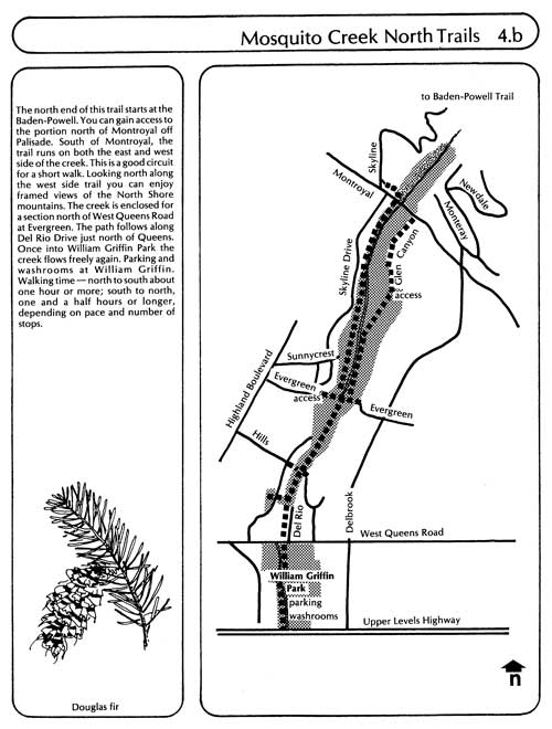 Mosquito Creek Trail - North