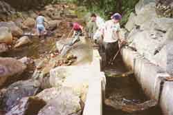 Fish Ladder Maintenance