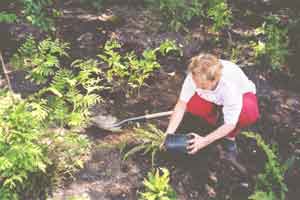 Community Planting Day 2000