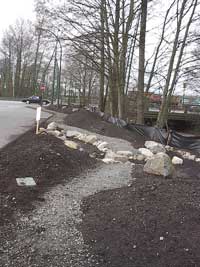 Swale After