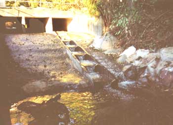 Queens Road Fish Ladder