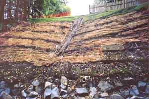 Thain Creek Slope Stabilization 2000