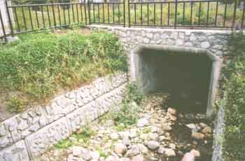 Westview Culvert in 2000